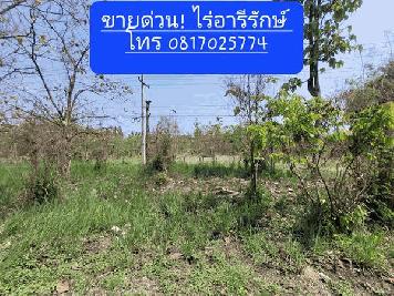 ขายด่วน! ที่ดินติดถนนซุปเปอร์ เชียงใหม่ ลำปาง (เจ้าของขายเอง) ขายด่วนก่อนจะขึ้นราคา